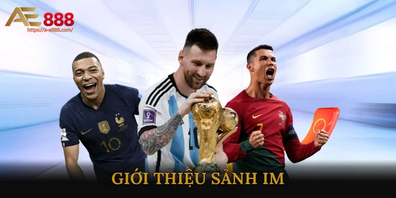 Giới thiệu sảnh IM