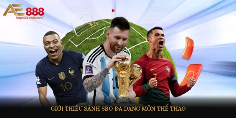 Giới thiệu sảnh SBO đa dạng môn thể thao