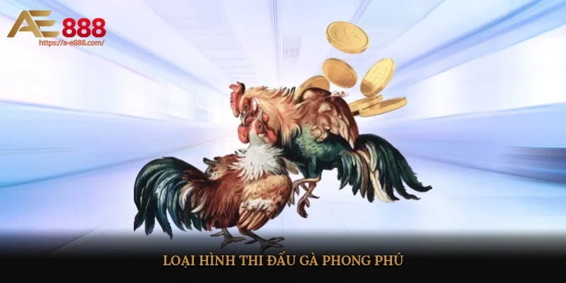 Loại hình thi đấu gà phong phú