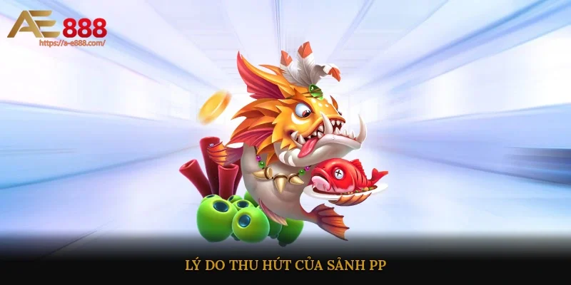 Lý do thu hút của sảnh PP