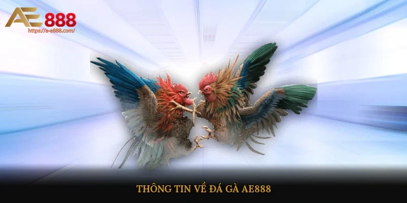 Thông tin về đá gà AE888