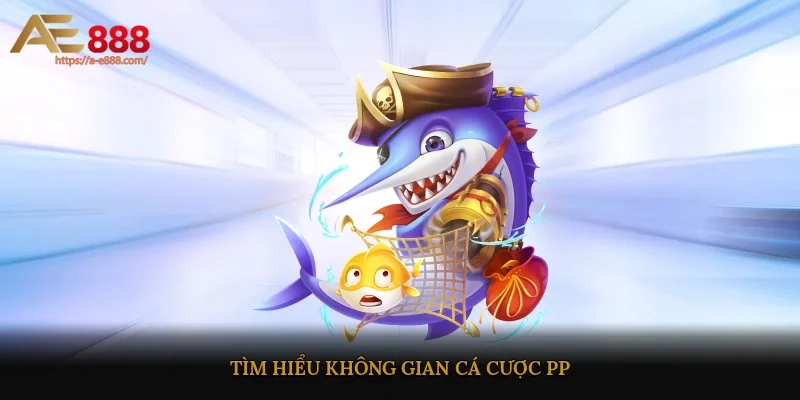 Tìm hiểu không gian cá cược PP