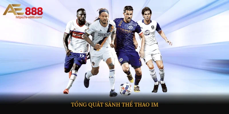 Tổng quát sảnh thể thao IM